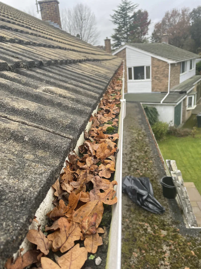 White gutter filled with dry leaves beneath a tiled roof
